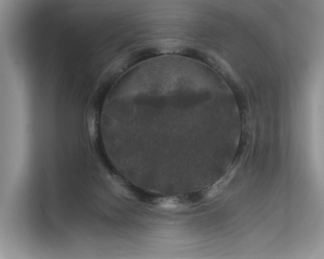 X0000112200074200908071442