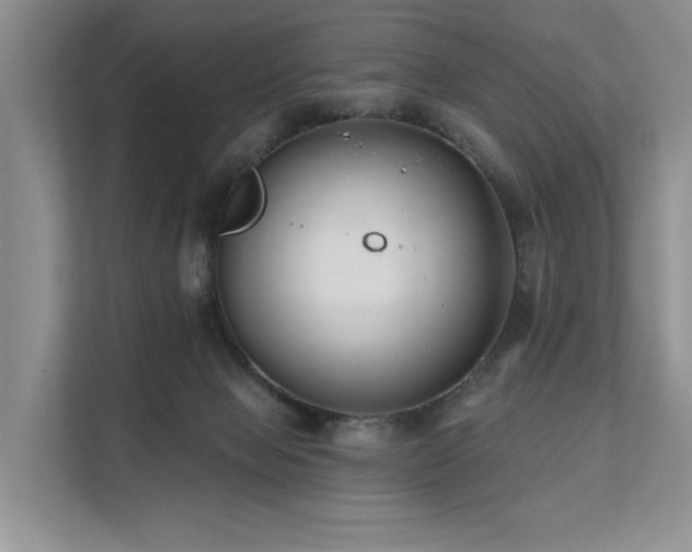 X0000112200077200908071442