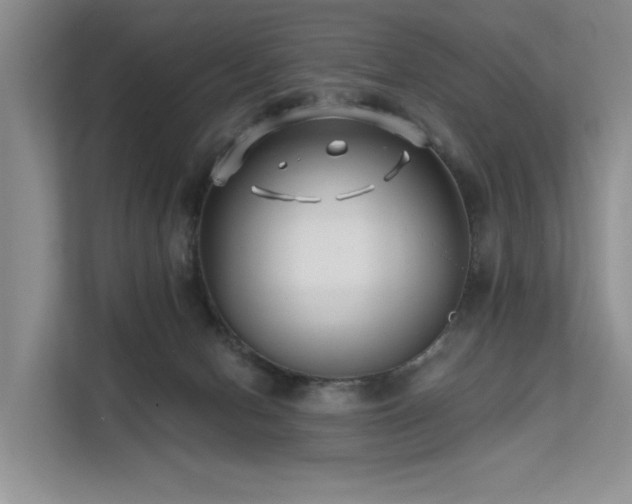 X0000112200078200908071442