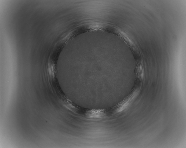 X0000112200093200908071442