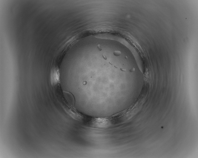 X0000112200095200908071443
