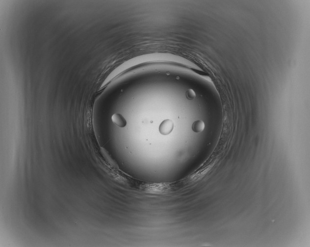 X0000112200096200908071443