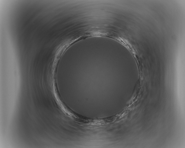 X0000112200097200908071442
