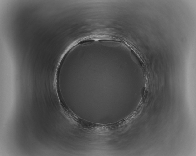 X0000112200100200908071442