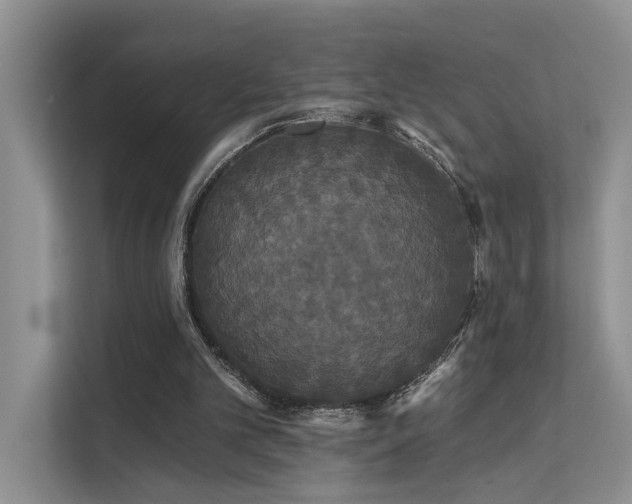 X0000112200101200908071442