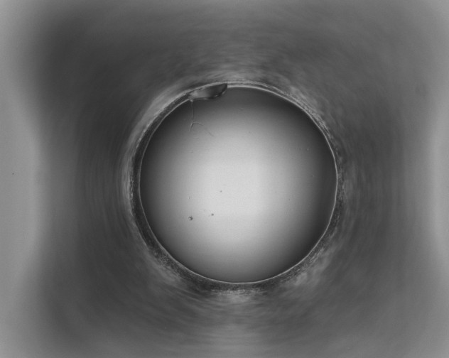 X0000112200103200908071442