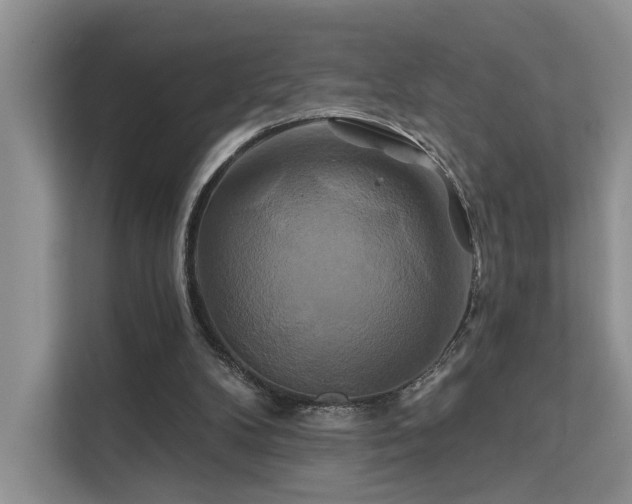 X0000112200104200908071442