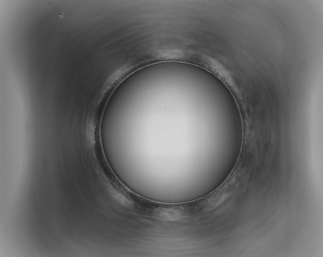 X0000112200106200908071442
