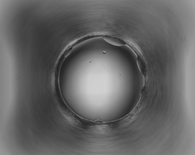 X0000112200108200908071442