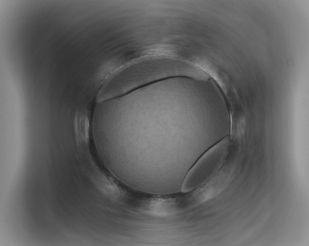 X0000112200109200908071442