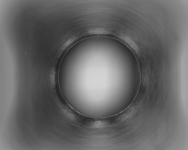 X0000112200111200908071442