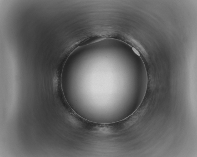 X0000112200113200908071442