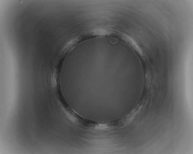 X0000112200114200908071442