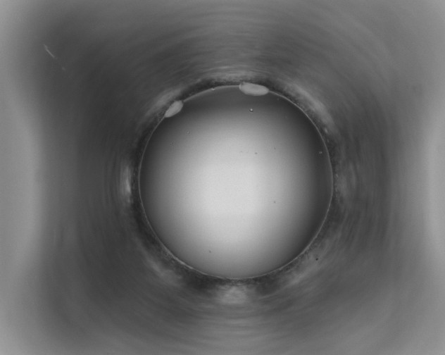 X0000112200115200908071442