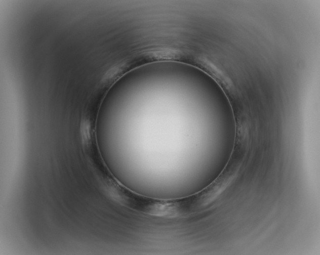 X0000112200117200908071442