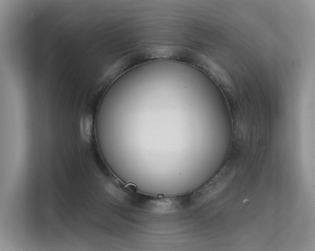 X0000112200118200908071442
