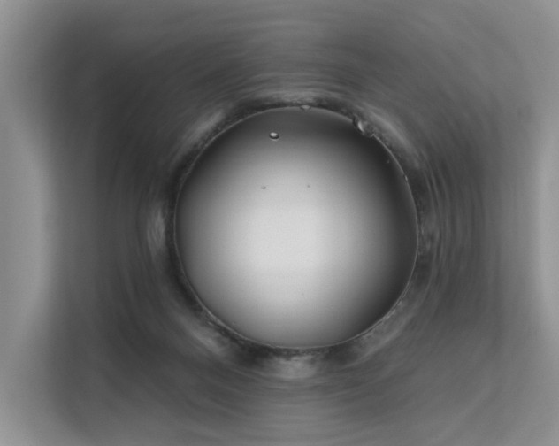 X0000112200120200908071442
