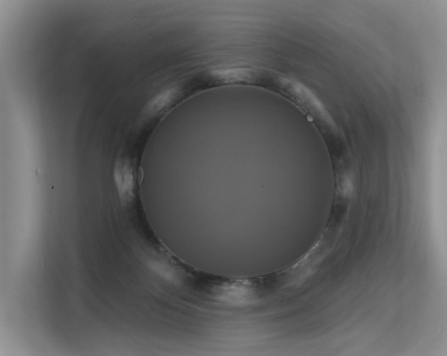 X0000112200124200908071442