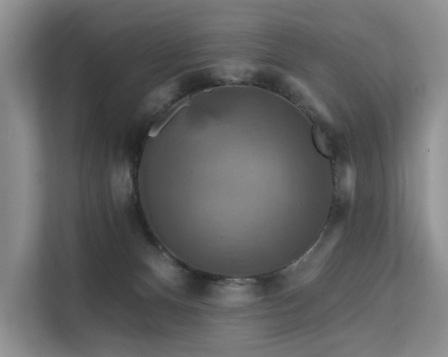 X0000112200128200908071441