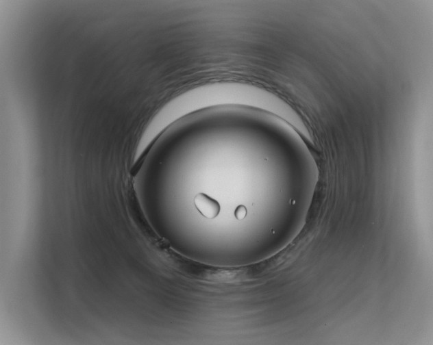 X0000112200129200908071441