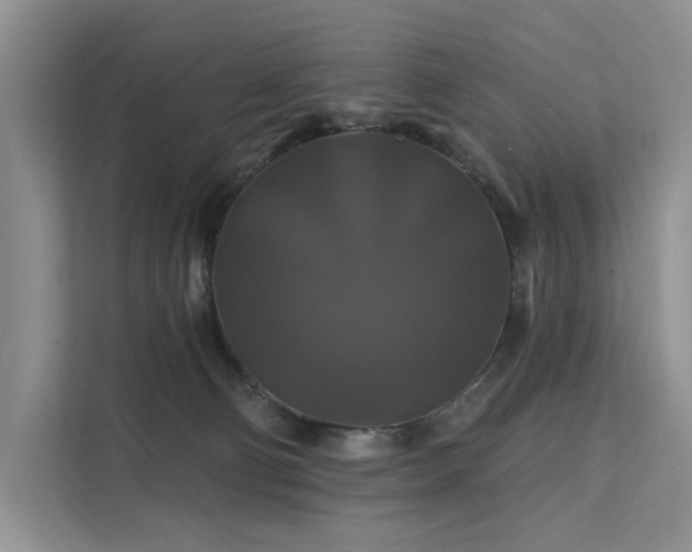 X0000112200130200908071441