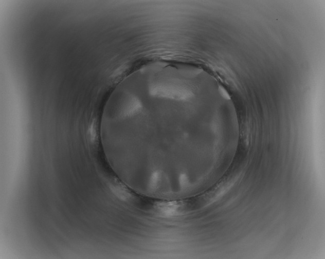 X0000112200131200908071441