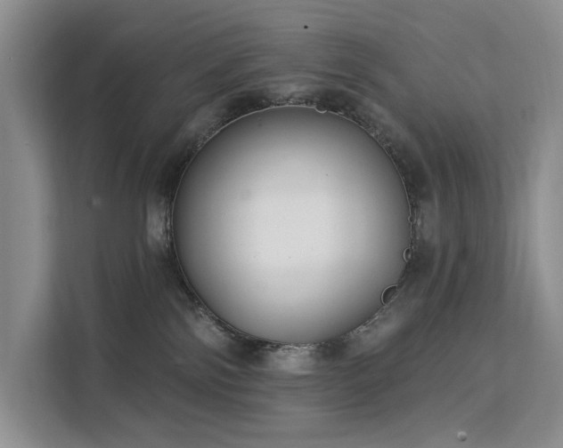 X0000112200138200908071441