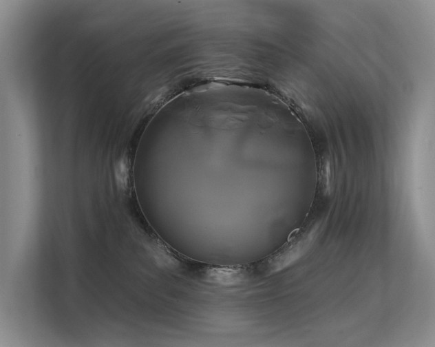 X0000112200139200908071441
