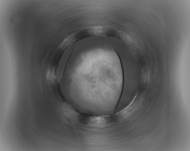 X0000112200140200908071441