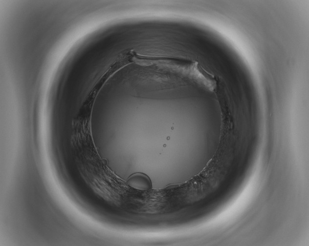X0000112200143200908071441