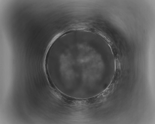 X0000112200147200908071441