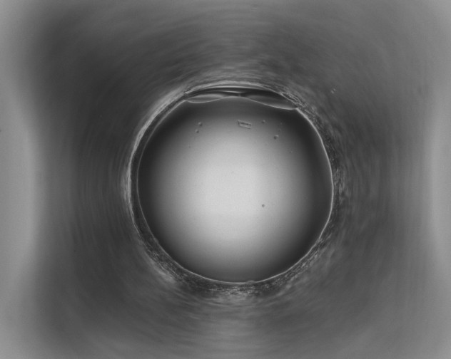 X0000112200148200908071441
