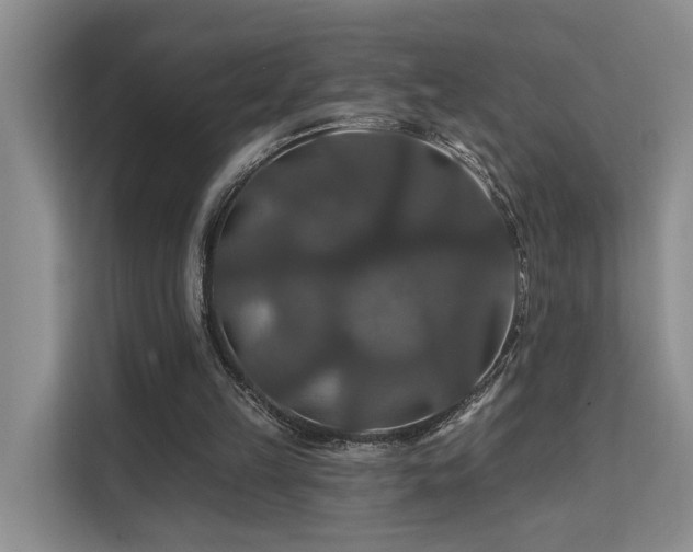 X0000112200149200908071441