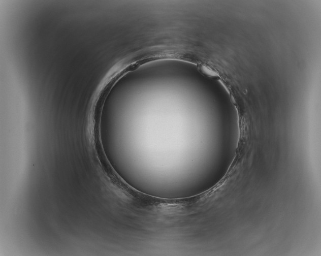 X0000112200150200908071441