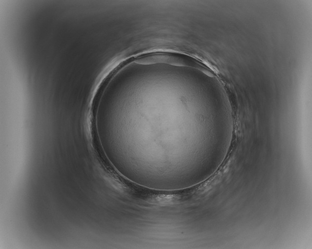 X0000112200152200908071441