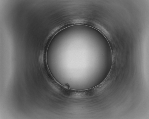 X0000112200155200908071441