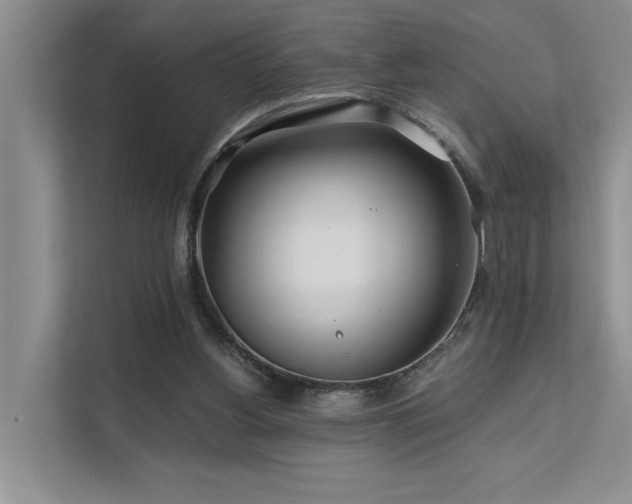 X0000112200156200908071441