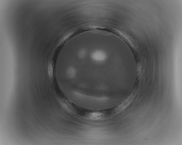 X0000112200158200908071441