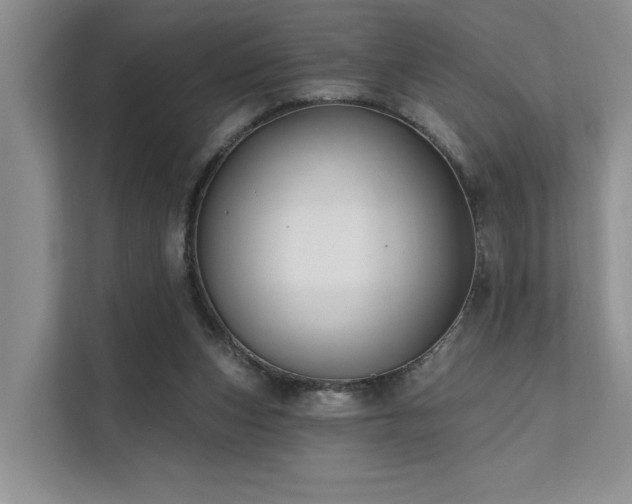 X0000112200159200908071441