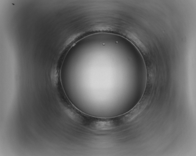 X0000112200160200908071441