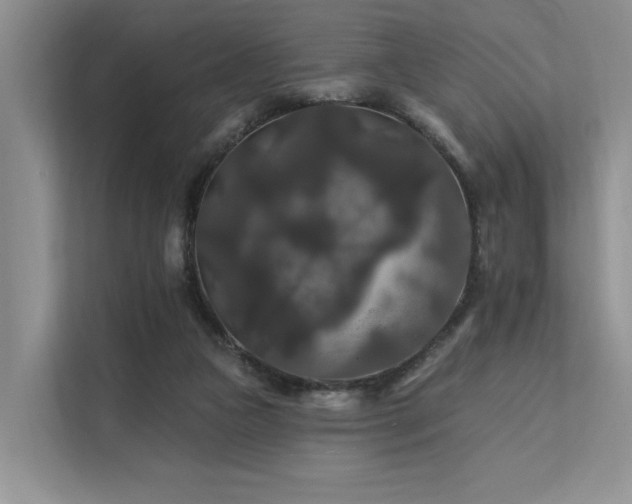 X0000112200161200908071441