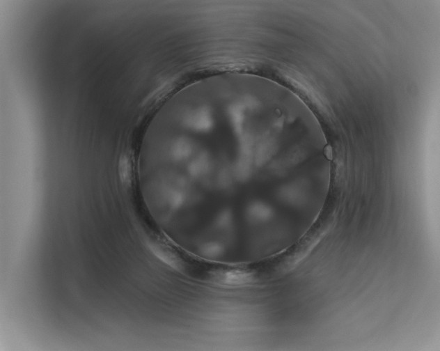 X0000112200165200908071441