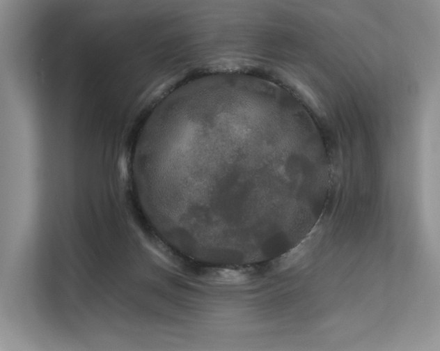X0000112200166200908071441