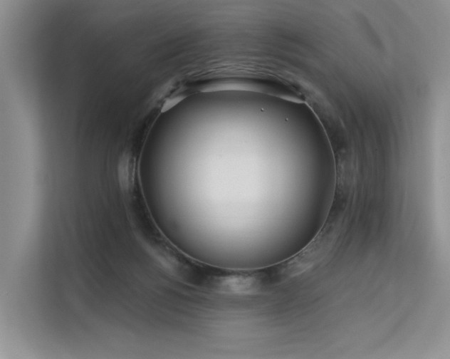 X0000112200168200908071441