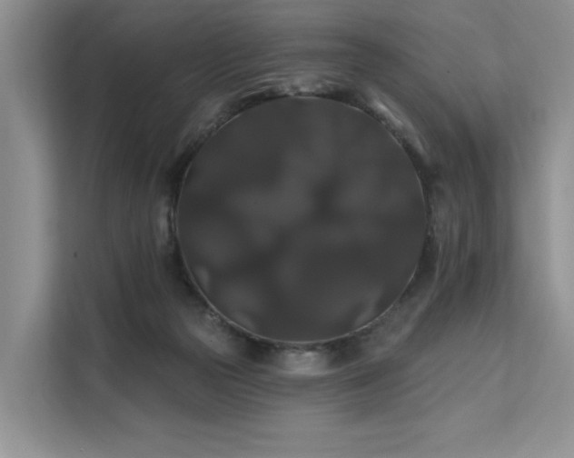 X0000112200169200908071441