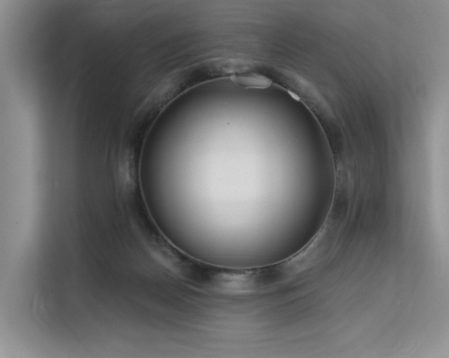 X0000112200170200908071441