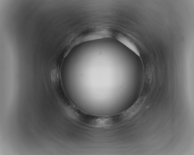 X0000112200172200908071441