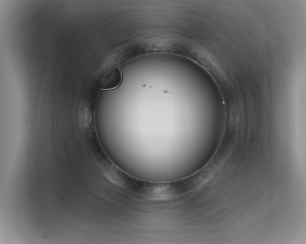 X0000112200173200908071441