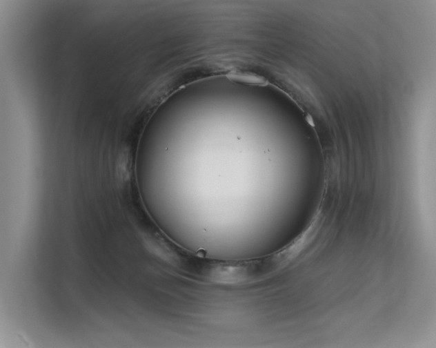 X0000112200174200908071441
