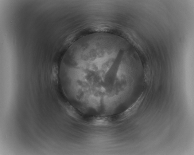 X0000112200175200908071441